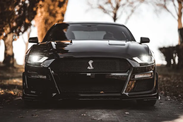 Lapilanders Casino Android/iOS Forrit